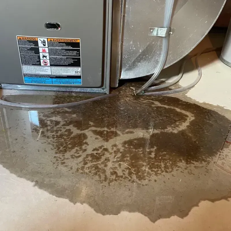 Appliance Leak Cleanup in Altamont, OR